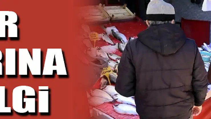 Yasak öncesi kültür balıklarına yoğun ilgi