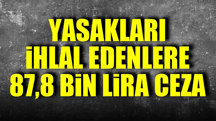 Jandarmadan korona yasaklarını ihlal edenlere 87,8 bin lira ceza