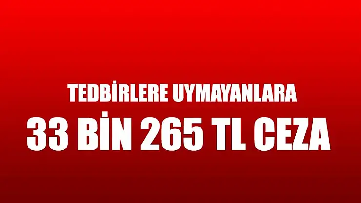 Samsun'da tedbirlere uymayan 35 şahsa 33 bin 265 TL ceza kesildi