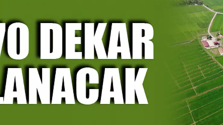 Samsun'da 430 bin 170 dekar tarım arazisi sulanacak