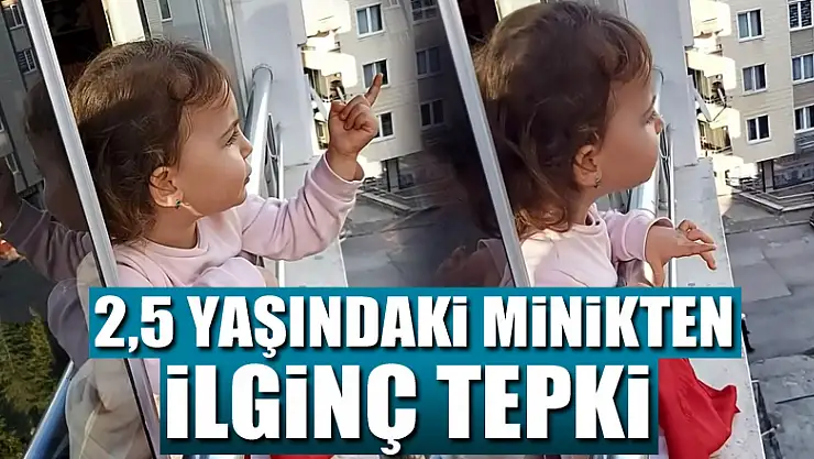 2,5 yaşındaki minikten sokakta dolaşanlara ilginç tepki