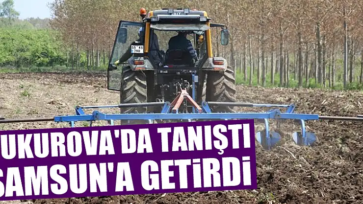 Çukurova'da tanıştı, Samsun'a getirdi