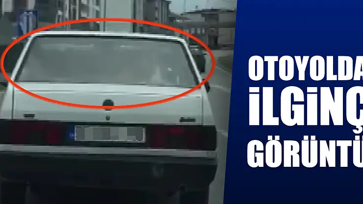 Arabanın arka koltuğunda inek taşıdı 