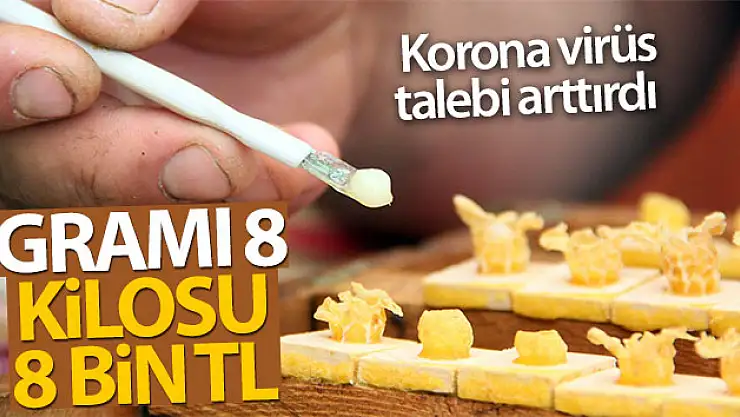 Servet değerinde: Gramı 8, kilosu 8 bin TL 