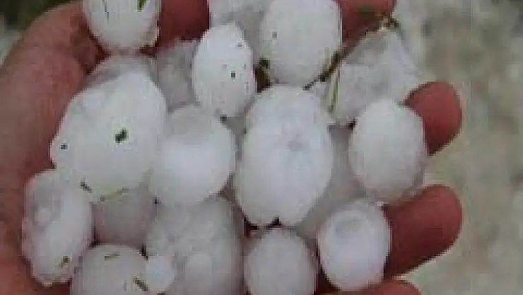 Vezirköprü'de zarar tespiti yapıldı