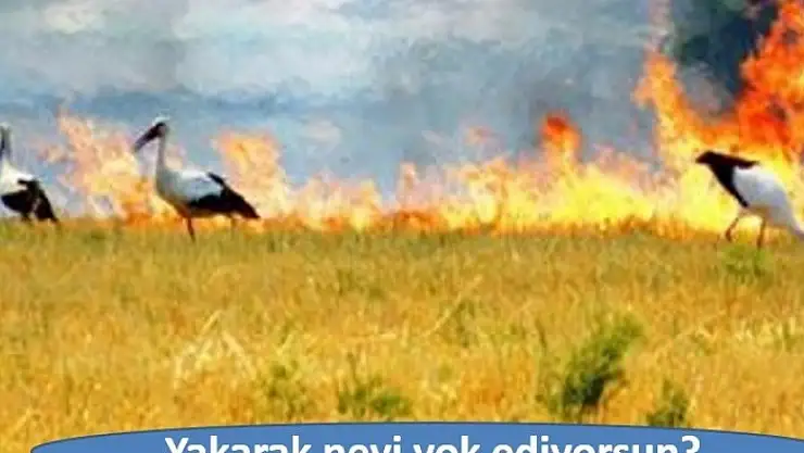 Anız yakanlara 'ceza' uyarısı 