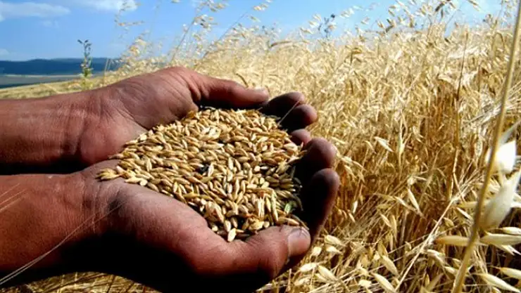 Çiftçilere 'tarım sigortası' uyarısı