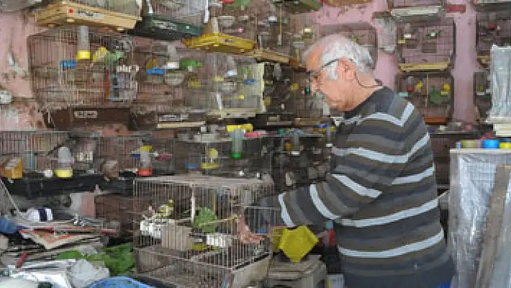 Emekli öğretmenin 'kuş' tutkusu