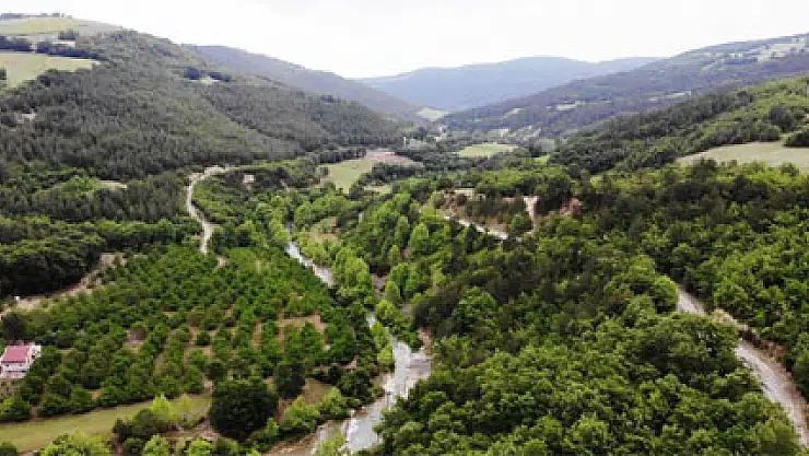 Samsun'da kurulacak 'Şifa Ormanı' Orta Doğu'da tek olacak