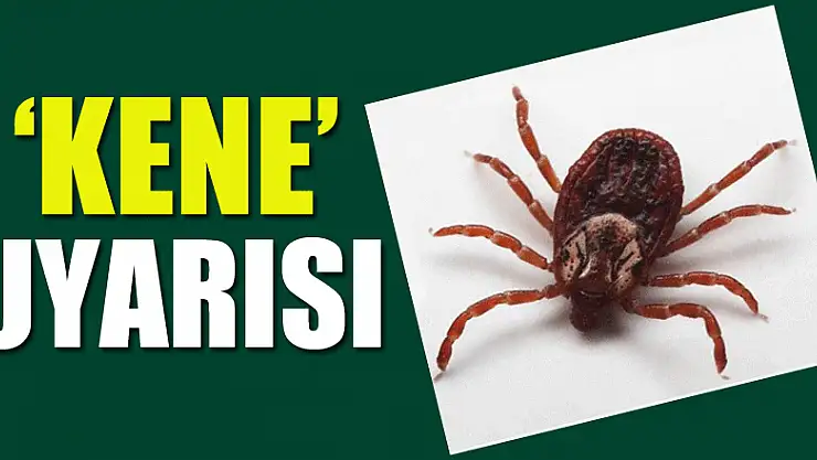 Tarım ve Orman Müdürlüğünden 'kene' uyarısı