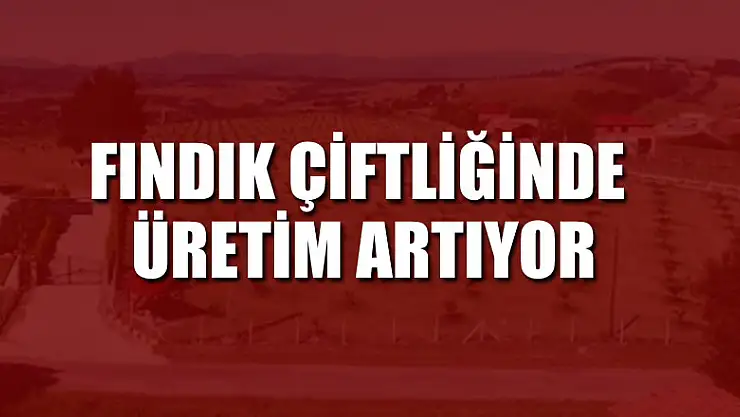 Fındık çiftliğinde üretim artıyor