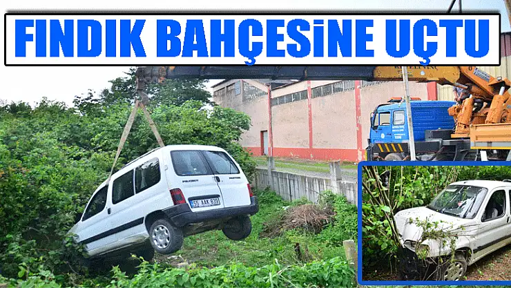 Ticari araç fındık bahçesine uçtu: 4 yaralı