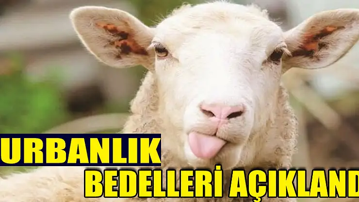 Kurbanlık bedelleri açıklandı