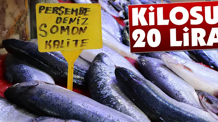Somonun kilosu 20 liraya düştü