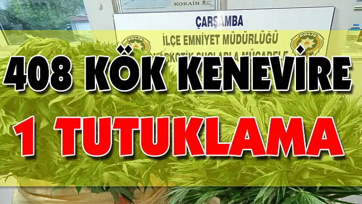 408 kök kenevire 1 tutuklama