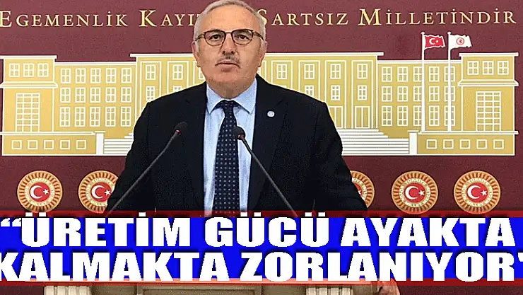 'ÜRETİM GÜCÜ AYAKTA KALMAKTA ZORLANIYOR'