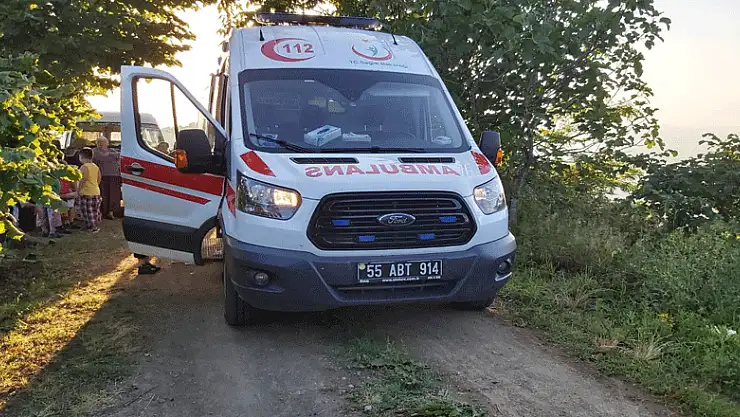 Otomobil fındık tarlasına uçtu: 4'ü çocuk 8 yaralı