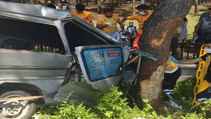 Samsun'da kamyonet ağaca çarptı: 2 yaralı