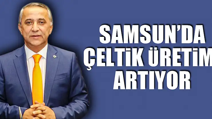 Samsun'da çeltik üretimi artıyor