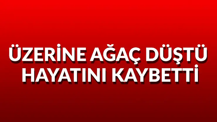 Üzerine ağaç düştü