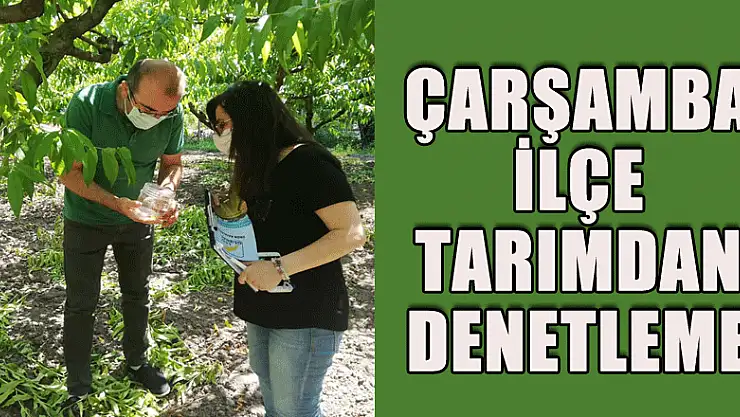 Çarşamba İlçe Tarımdan Denetleme