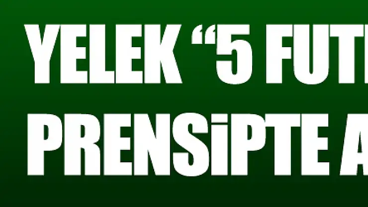 YELEK ''PRENSİPTE 5 FUTBOLCU İLE ANLAŞTIK''