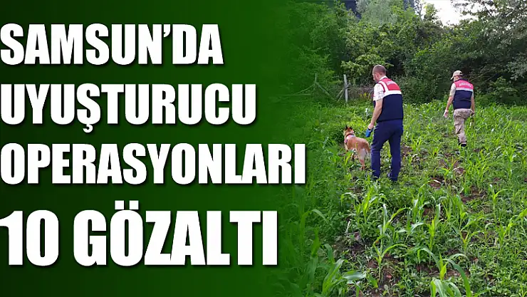 Samsun'da uyuşturucu operasyonları: 10 gözaltı    