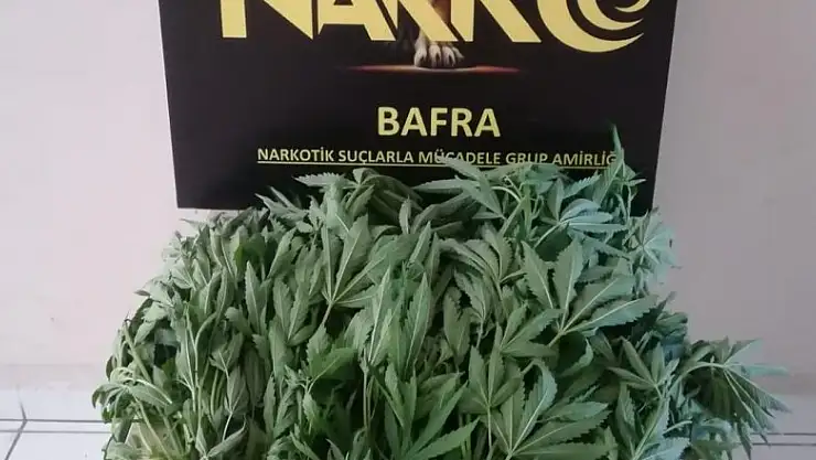 23 kök Hint keneviri ile yakalanan şahıs serbest kaldı   