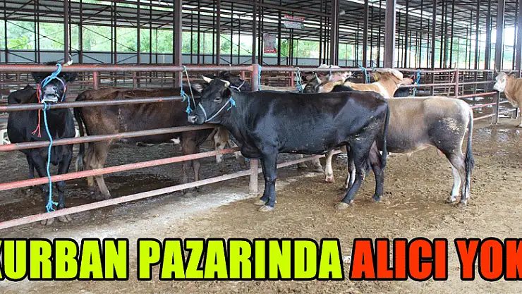 KURBAN PAZARINDA ALICI YOK!