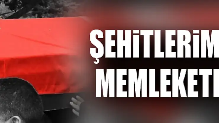 Şehitlerimizin isimleri ve memleketleri belli oldu!