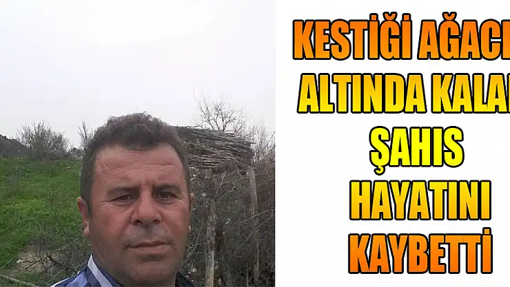 Kestiği ağacın altında kalan şahıs hayatını kaybetti