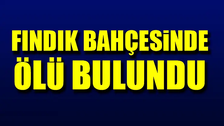Fındık bahçesinde ölü bulundu
