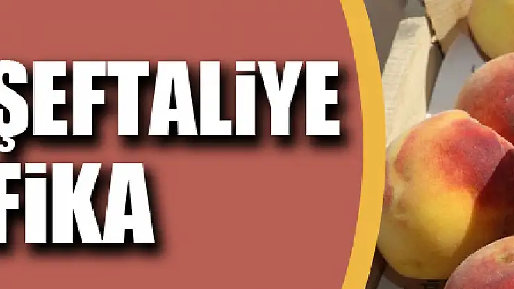 Kalıntısız şeftaliye sertifika