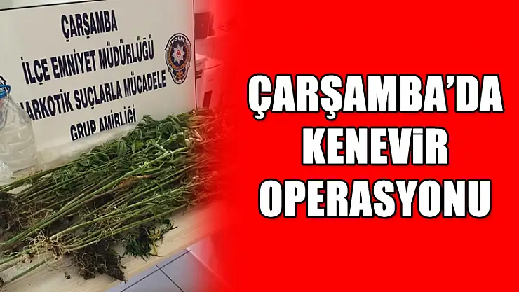 75 kök kenevir yakalandı