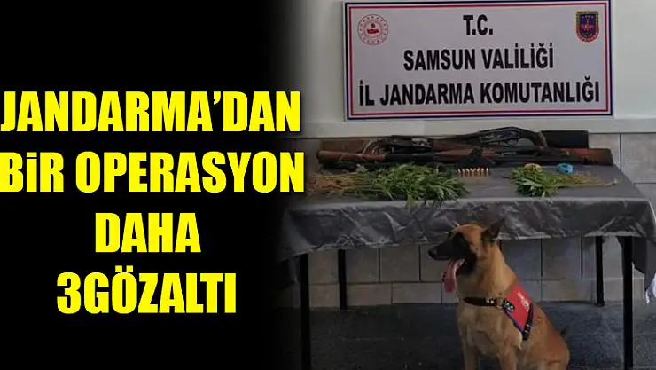 Samsun jandarmadan bir operasyon daha