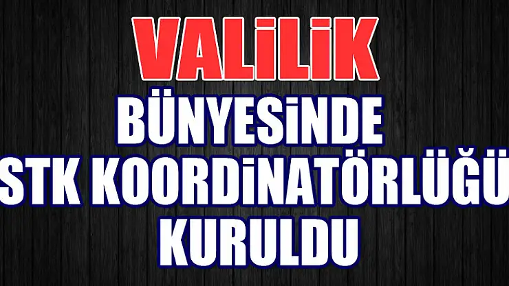 Samsun Valiliği bünyesinde 'STK Koordinatörlüğü' kuruldu
