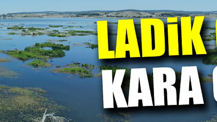 Ladik Gölü'nde kara göründü