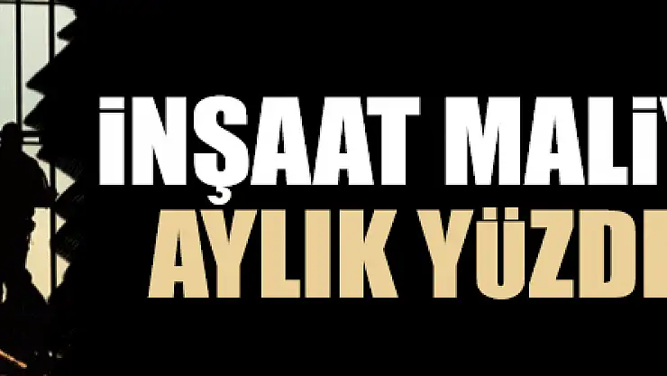 İnşaat maliyet endeksi aylık yüzde 0,78 arttı