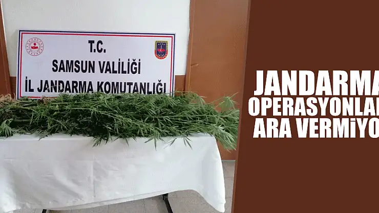 Jandarmanın operasyonları ara vermiyor
