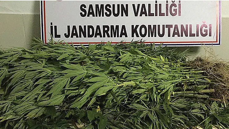 Samsun'da 7 kilo kubar esrar ele geçirildi