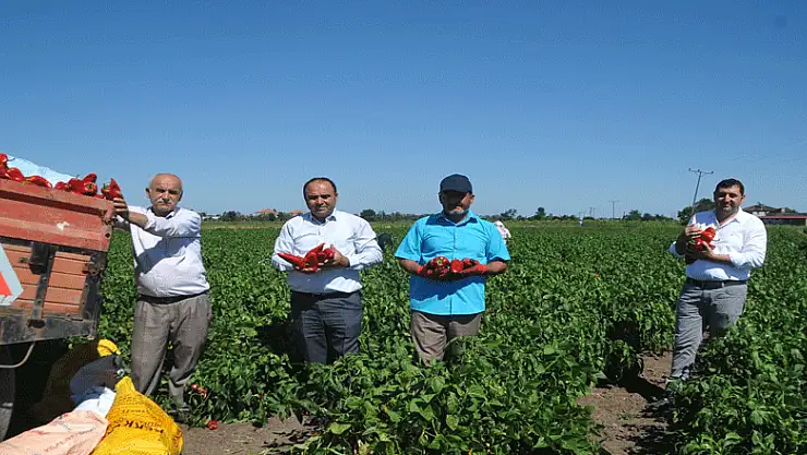 Bu biberin bir tanesi 250 gram geliyor