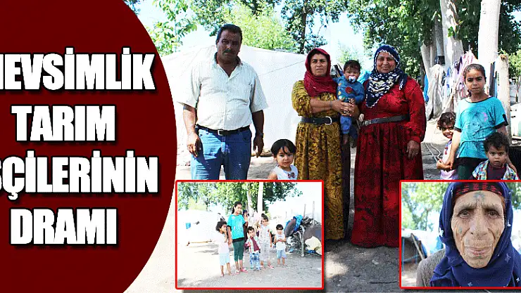 MEVSİMLİK TARIM İŞÇİLERİNİN DRAMI
