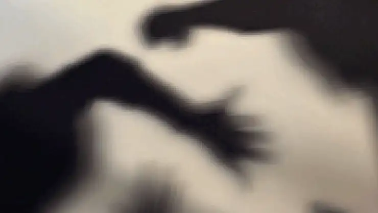 Kediye kıyma veren doktor eşini darp edip evden kovdu