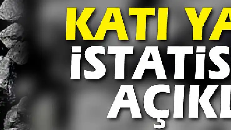Katı yakıtlar istatistikleri açıklandı