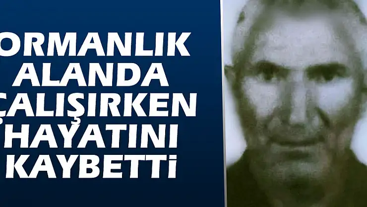 Ormanlık alanda çalışırken hayatını kaybetti