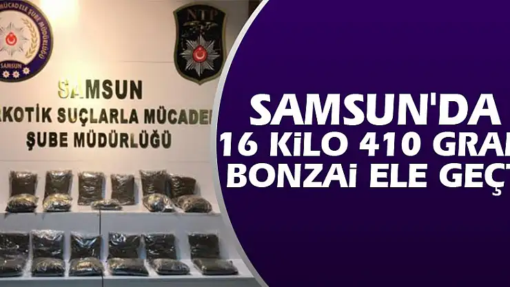 Samsun'da 16 kilo 410 gram bonzai ele geçti: 6 gözaltı