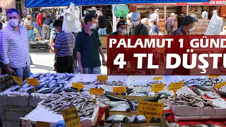 Palamut 1 günde 4 TL düştü