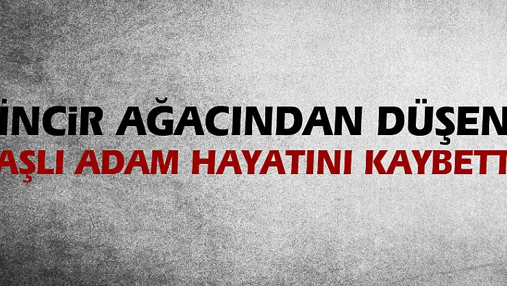 İncir ağacından düşen yaşlı adam hayatını kaybetti