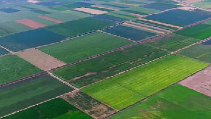 Prof. Dr. Demir: 'Türkiye'nin geleceği tarım ve tarıma dayalı sanayide'