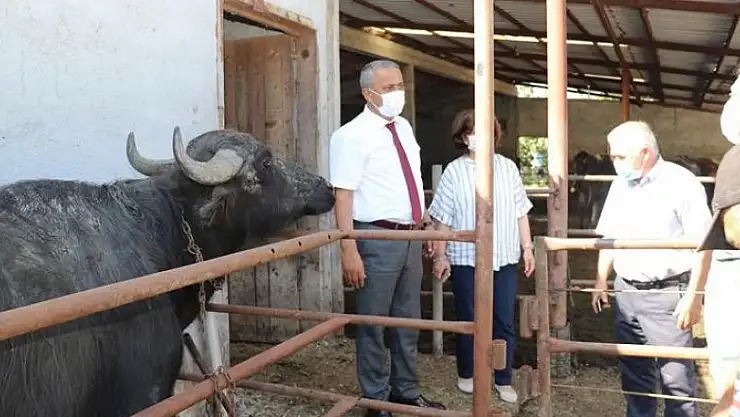 Samsun'da 'Mandalarda Suni Tohumlama Projesi' başladı 